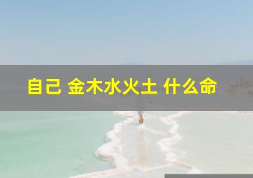 自己 金木水火土 什么命